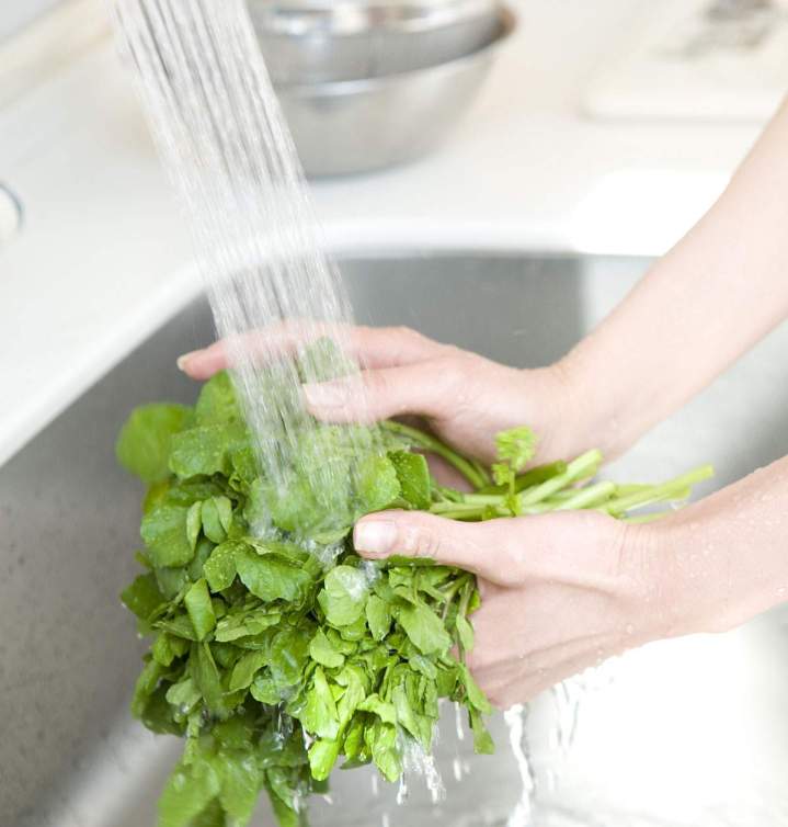 Garantir l’hygiène dans votre établissement de restauration